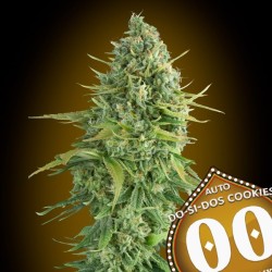 Auto Do-Si-Dos Cookies 3 u. fem.